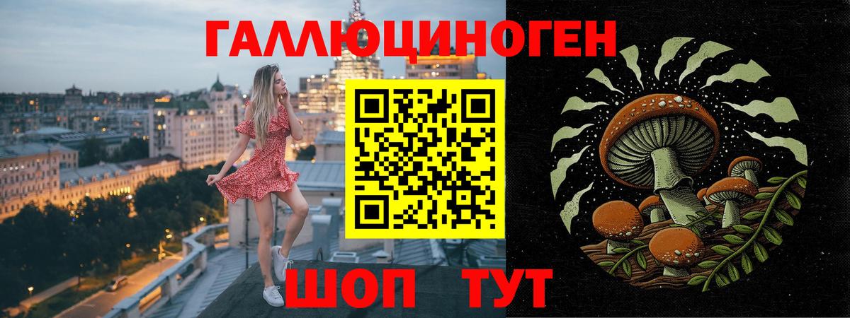 Псилоцибиновые грибы Psilocybe Владимир