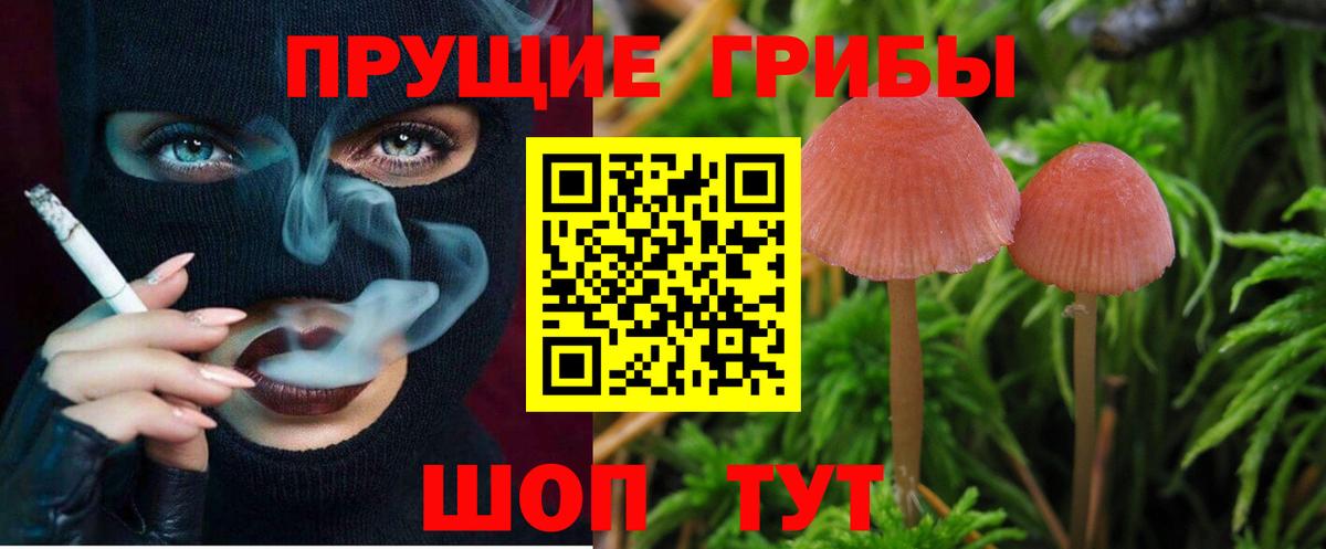 Псилоцибиновые грибы Psilocybe  Галлюциногенные грибы мухоморы  Владимир  Вход с VPN 