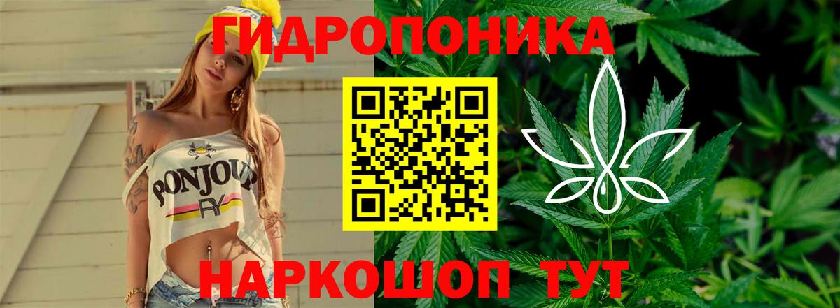 Бошки Шишки VHQ Владимир